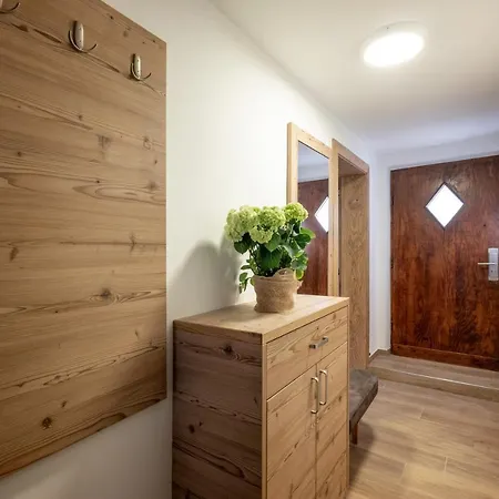 Ferienhaeuser Mayrhofen